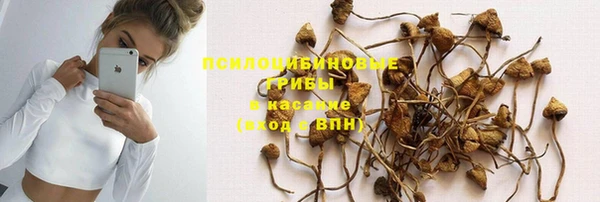 прущая мука Кизел