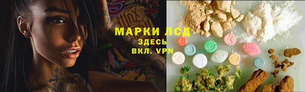PSILOCYBIN Хадыженск