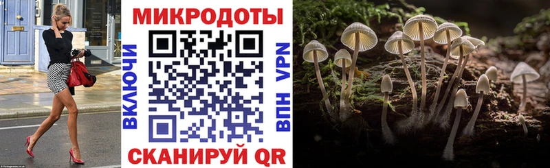 купить наркотик  Белоозёрский  KRAKEN маркетплейс  Псилоцибиновые грибы мицелий 